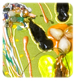 feng shui art